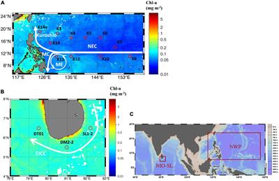 Exploring Variability of Trichodesmium Photophysiology Using Multi-Excitation Wavelength Fast Repetition Rate Fluorometry